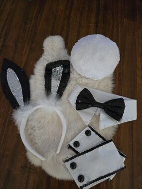 Sexy Sequin Playboy Bunny Accessory Kit